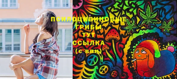 прущий лед Магас
