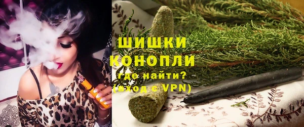 PSILOCYBIN Медвежьегорск