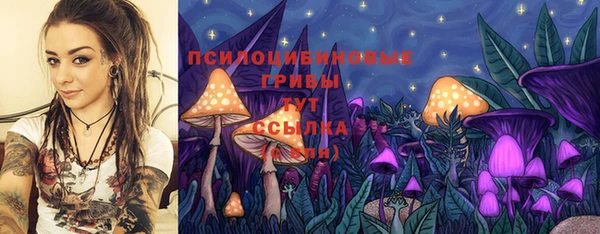 прущая мука Абаза
